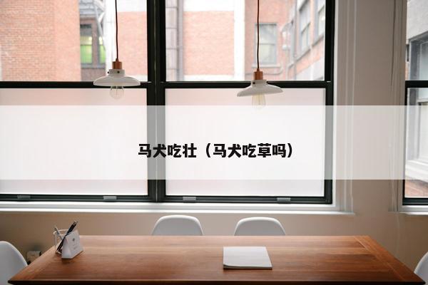 马犬吃壮（马犬吃草吗）