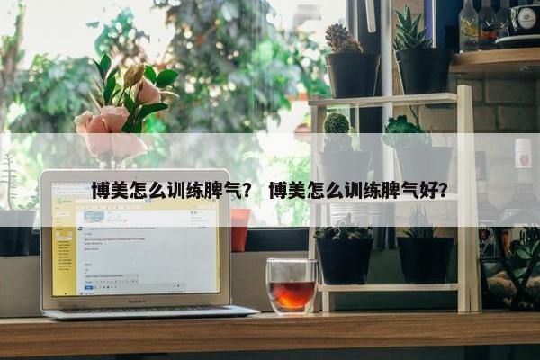 博美怎么训练脾气？ 博美怎么训练脾气好？