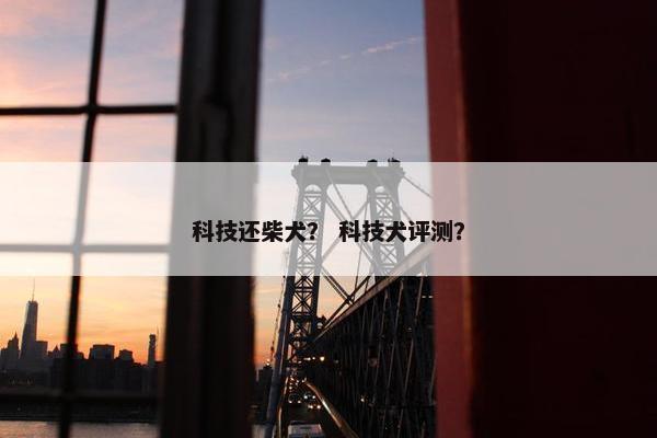 科技还柴犬？ 科技犬评测？