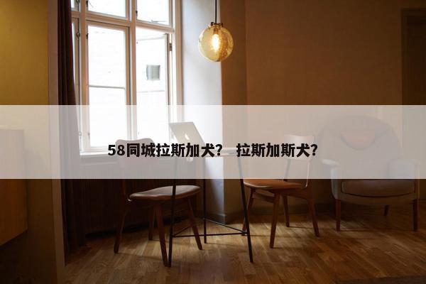 58同城拉斯加犬？ 拉斯加斯犬？