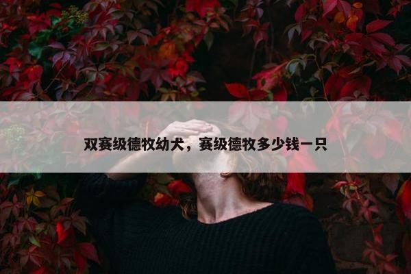 双赛级德牧幼犬，赛级德牧多少钱一只