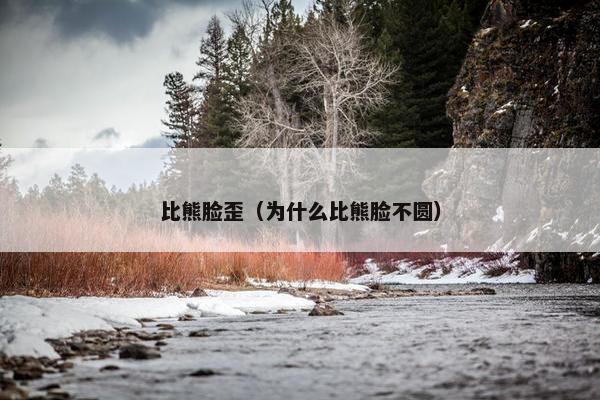比熊脸歪（为什么比熊脸不圆）