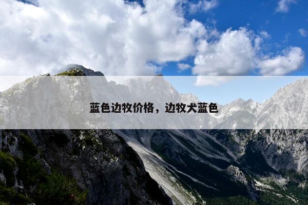 蓝色边牧价格，边牧犬蓝色