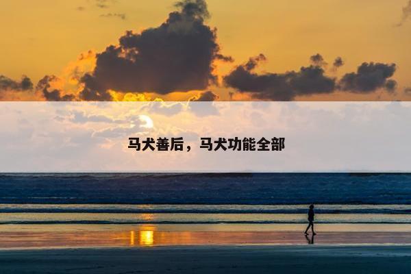 马犬善后，马犬功能全部