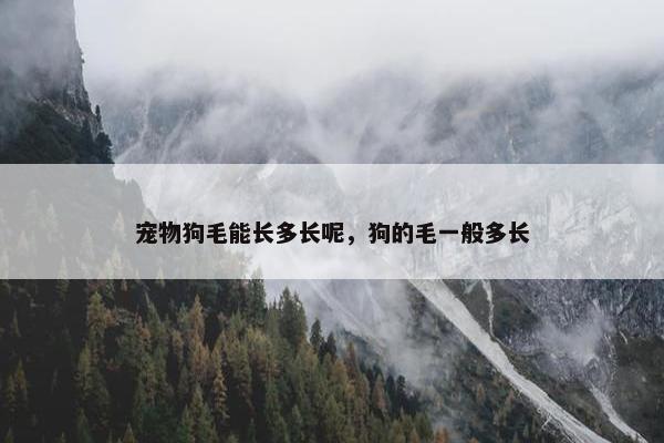 宠物狗毛能长多长呢，狗的毛一般多长