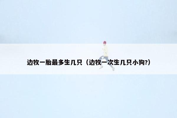 边牧一胎最多生几只（边牧一次生几只小狗?）