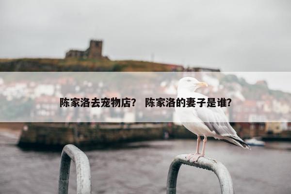 陈家洛去宠物店？ 陈家洛的妻子是谁？