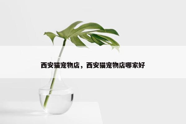 西安猫宠物店，西安猫宠物店哪家好