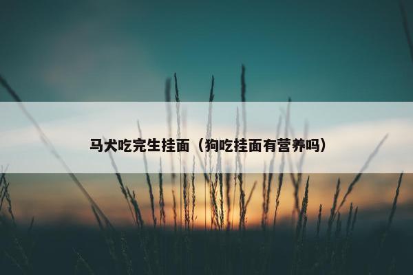 马犬吃完生挂面（狗吃挂面有营养吗）