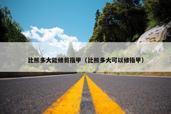 比熊多大能修剪指甲（比熊多大可以修指甲）