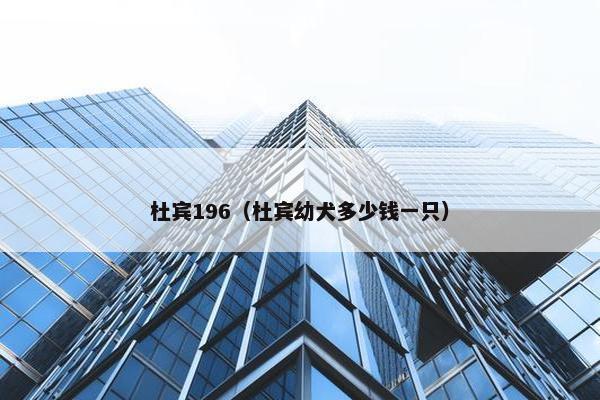 杜宾196（杜宾幼犬多少钱一只）