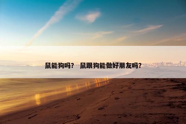 鼠能狗吗？ 鼠跟狗能做好朋友吗？