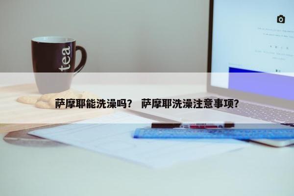 萨摩耶能洗澡吗？ 萨摩耶洗澡注意事项？