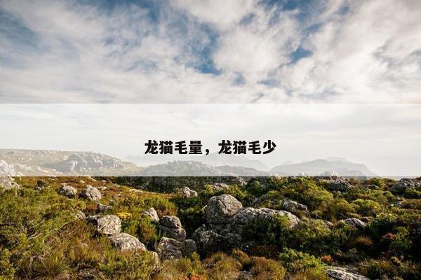 龙猫毛量，龙猫毛少