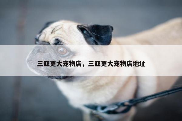 三亚更大宠物店，三亚更大宠物店地址