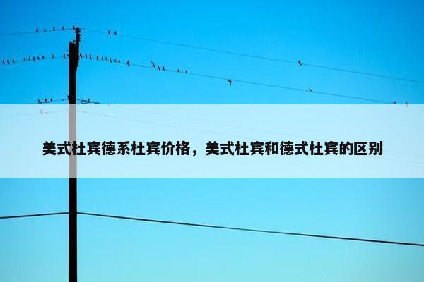 美式杜宾德系杜宾价格，美式杜宾和德式杜宾的区别