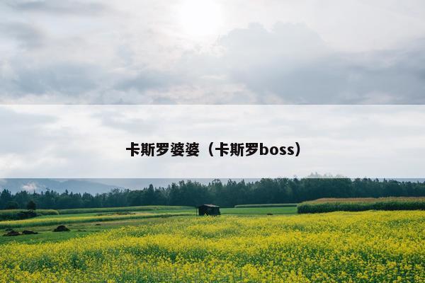 卡斯罗婆婆（卡斯罗boss）