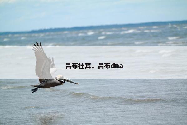 吕布杜宾，吕布dna