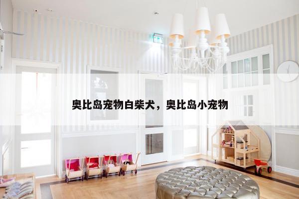 奥比岛宠物白柴犬，奥比岛小宠物