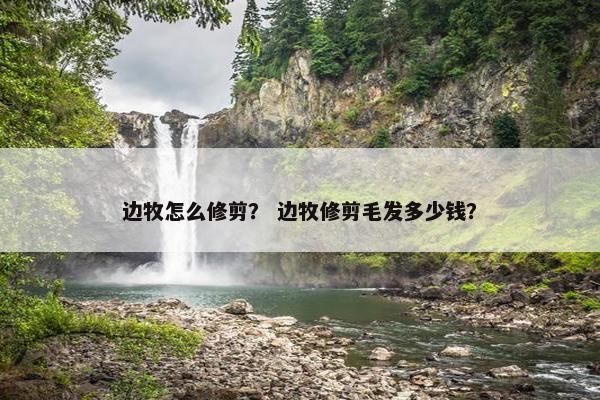 边牧怎么修剪？ 边牧修剪毛发多少钱？