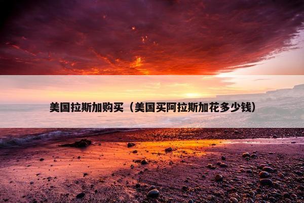 美国拉斯加购买（美国买阿拉斯加花多少钱）
