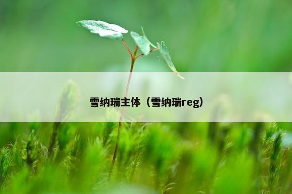 雪纳瑞主体（雪纳瑞reg）