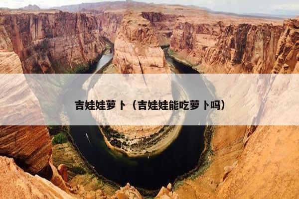 吉娃娃萝卜（吉娃娃能吃萝卜吗）