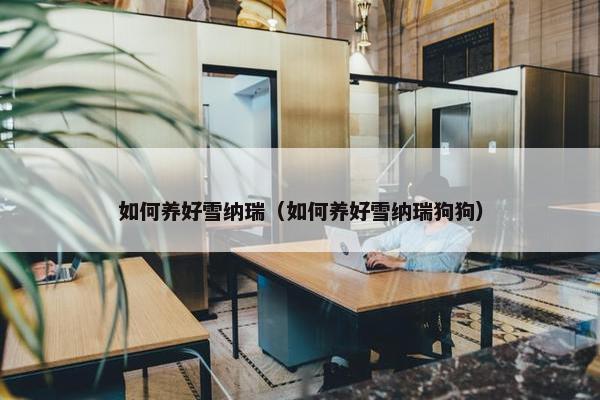 如何养好雪纳瑞（如何养好雪纳瑞狗狗）