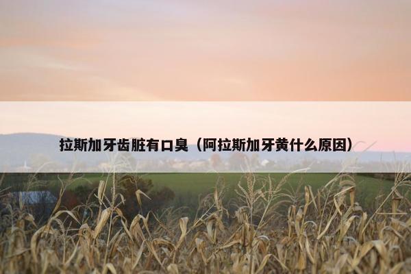 拉斯加牙齿脏有口臭（阿拉斯加牙黄什么原因）