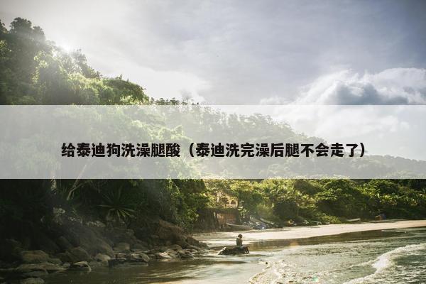 给泰迪狗洗澡腿酸（泰迪洗完澡后腿不会走了）