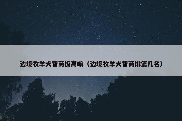 边境牧羊犬智商极高嘛（边境牧羊犬智商排第几名）