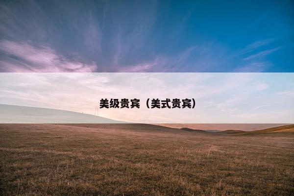 美级贵宾（美式贵宾）