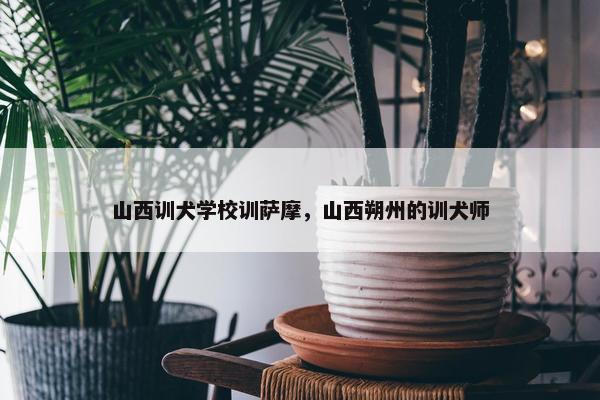 山西训犬学校训萨摩，山西朔州的训犬师