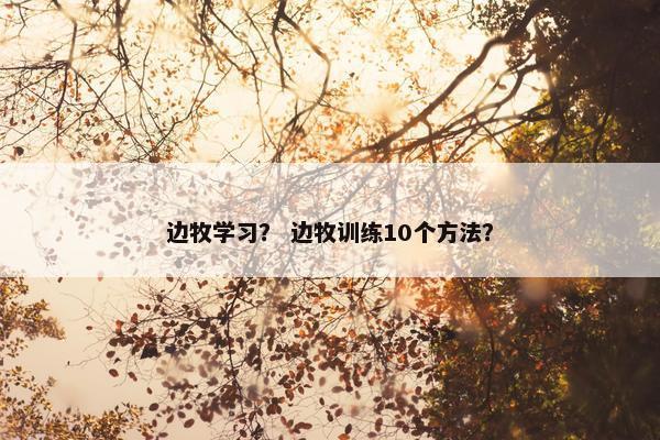 边牧学习？ 边牧训练10个方法？