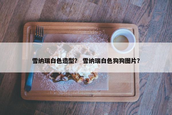 雪纳瑞白色造型？ 雪纳瑞白色狗狗图片？