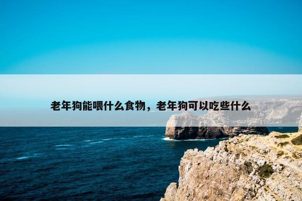 老年狗能喂什么食物，老年狗可以吃些什么