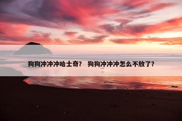 狗狗冲冲冲哈士奇？ 狗狗冲冲冲怎么不放了？
