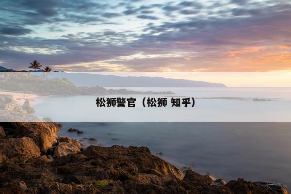 松狮警官（松狮 知乎）