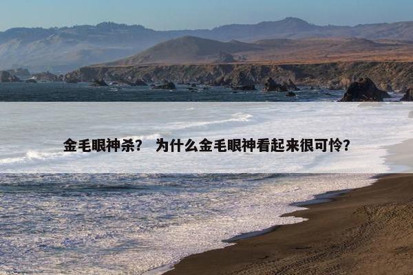 金毛眼神杀？ 为什么金毛眼神看起来很可怜？