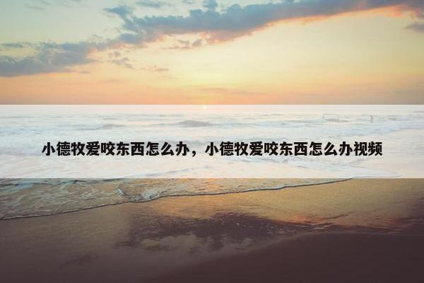 小德牧爱咬东西怎么办，小德牧爱咬东西怎么办视频