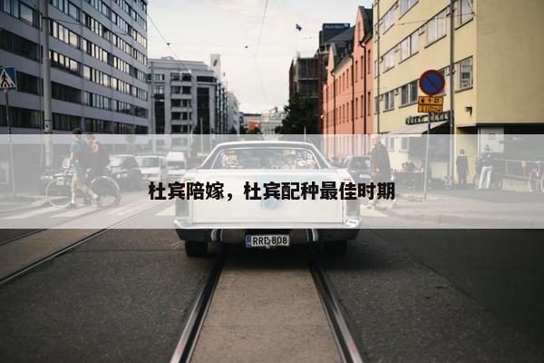 杜宾陪嫁，杜宾配种最佳时期