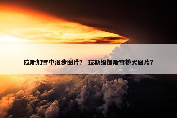 拉斯加雪中漫步图片？ 拉斯维加斯雪橇犬图片？