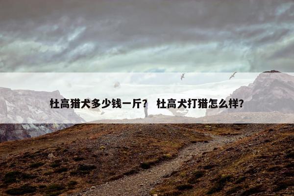 杜高猎犬多少钱一斤？ 杜高犬打猎怎么样？