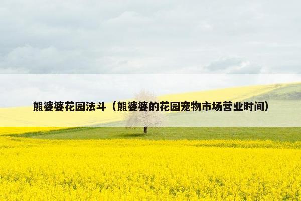 熊婆婆花园法斗（熊婆婆的花园宠物市场营业时间）