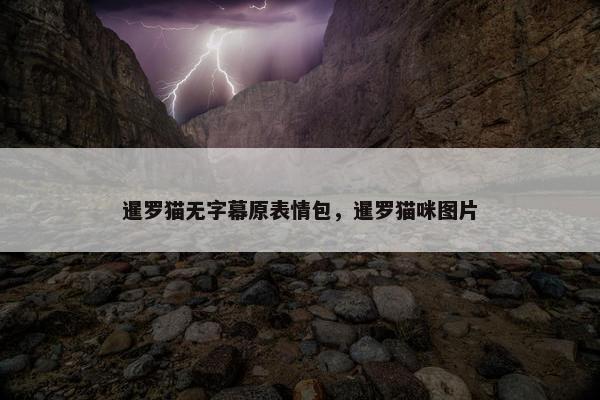 暹罗猫无字幕原表情包，暹罗猫咪图片
