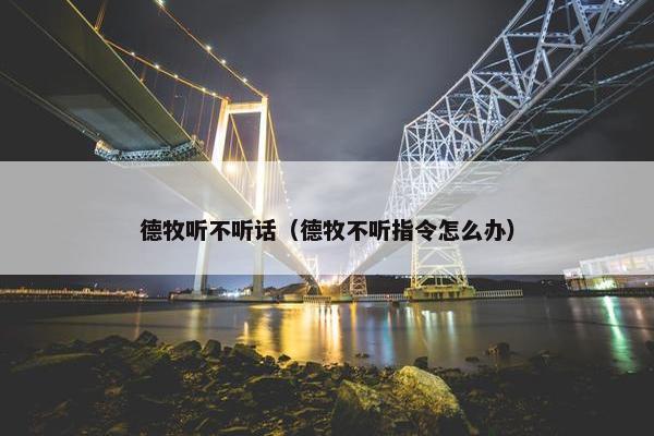 德牧听不听话（德牧不听指令怎么办）