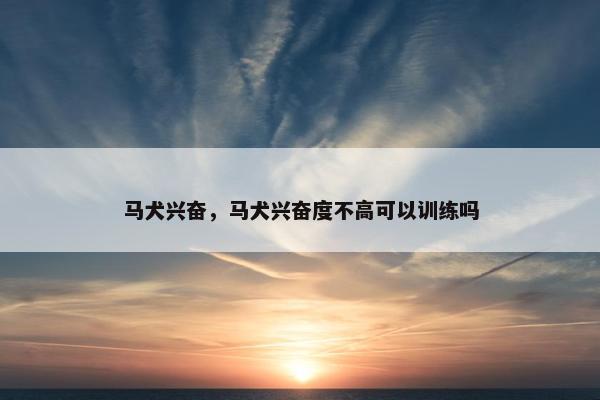 马犬兴奋，马犬兴奋度不高可以训练吗