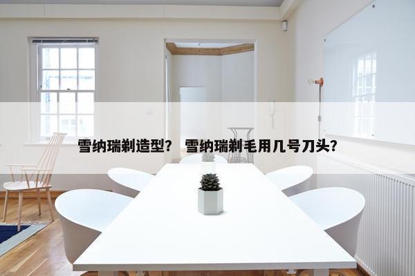 雪纳瑞剃造型？ 雪纳瑞剃毛用几号刀头？