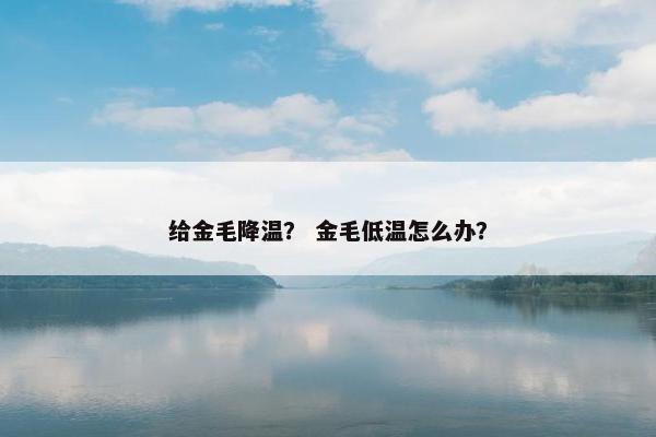 给金毛降温？ 金毛低温怎么办？