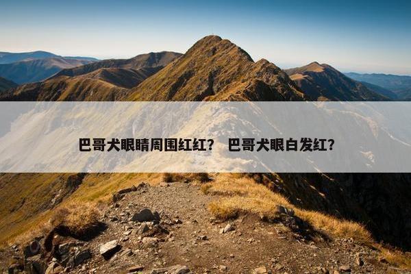 巴哥犬眼睛周围红红？ 巴哥犬眼白发红？